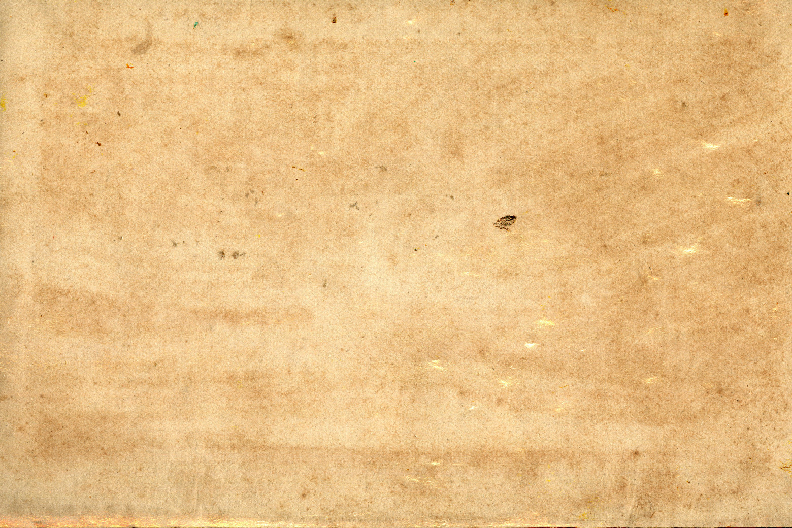 tanantiquevintagepapertexture41560x1040 Promica